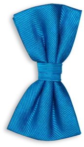 blue bow tie graphic